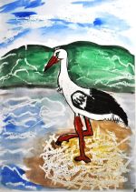 Krajčovič Oliver.jpg